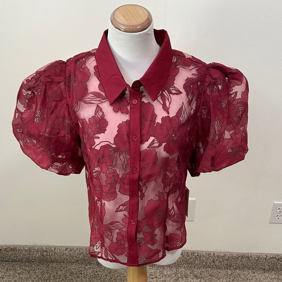 😊 NWT Peach Sheer Puff Sleeve Button Up Shirt - Picture 1 of 5